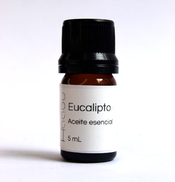 Aceite esencial de eucalipto