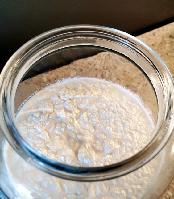 Guardar kefir de leche